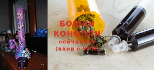ECSTASY Лиски