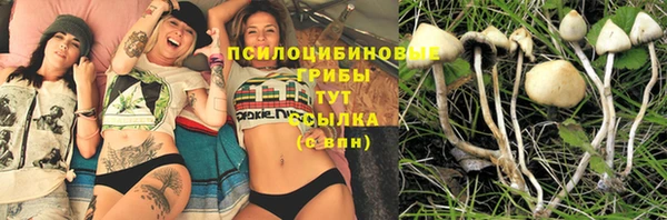 бошки Аркадак