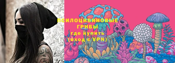 бошки Аркадак